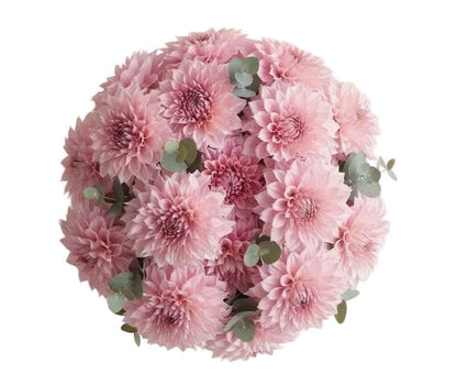 Pretty Pink Dhalia Bouquet with Eucalyptus - Florist London