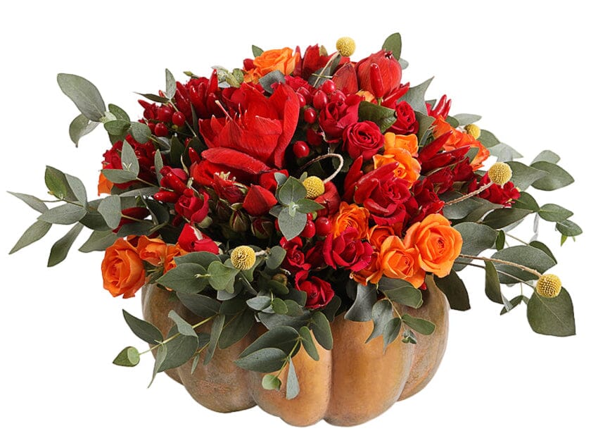 Pumpkin Arrangement of Amaryllis and Spray Roses