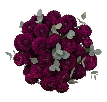 Purple Dahlia Bouquet with Eucalyptus - Florist London