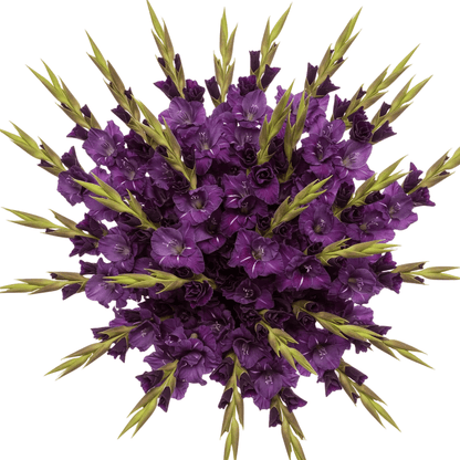 Purple Gladiolus Bouquet - Florist London