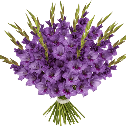 Purple Gladiolus Bouquet - Florist London