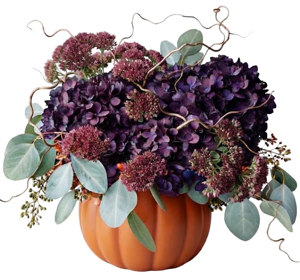 Purple Hydrangea with Twist Pumpkin - Florist London
