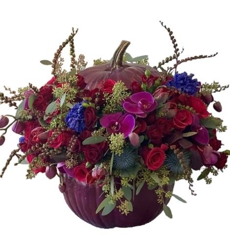 Rafined Burgundy Pumpkin Arrangement - Florist London