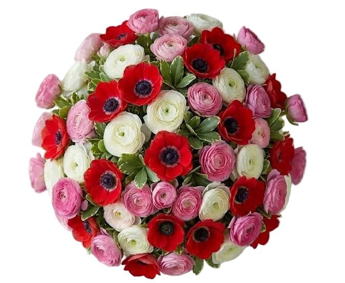 Ranunculus with Red Anemone Bouquet - Florist London