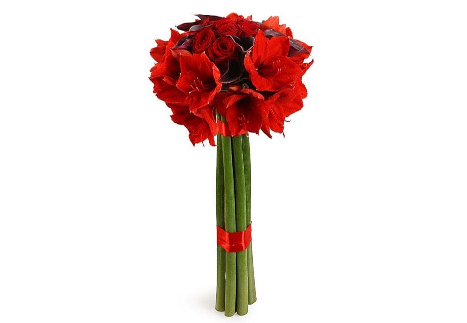 Red Amaryllis and Burgundy Calla Lily Bouquet - Florist London