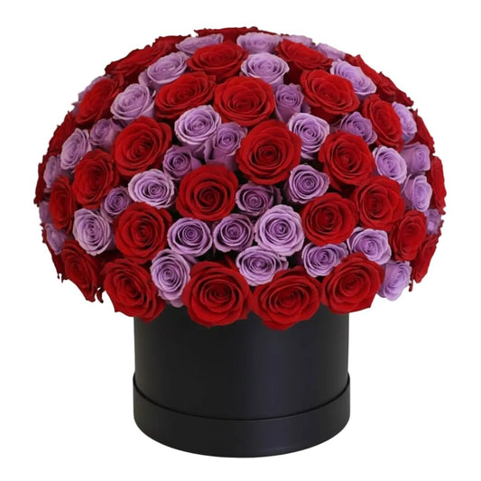 Red and Lavender Roses Splendid Box - Florist London
