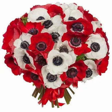Red and White Anemones Bouquet - Florist London
