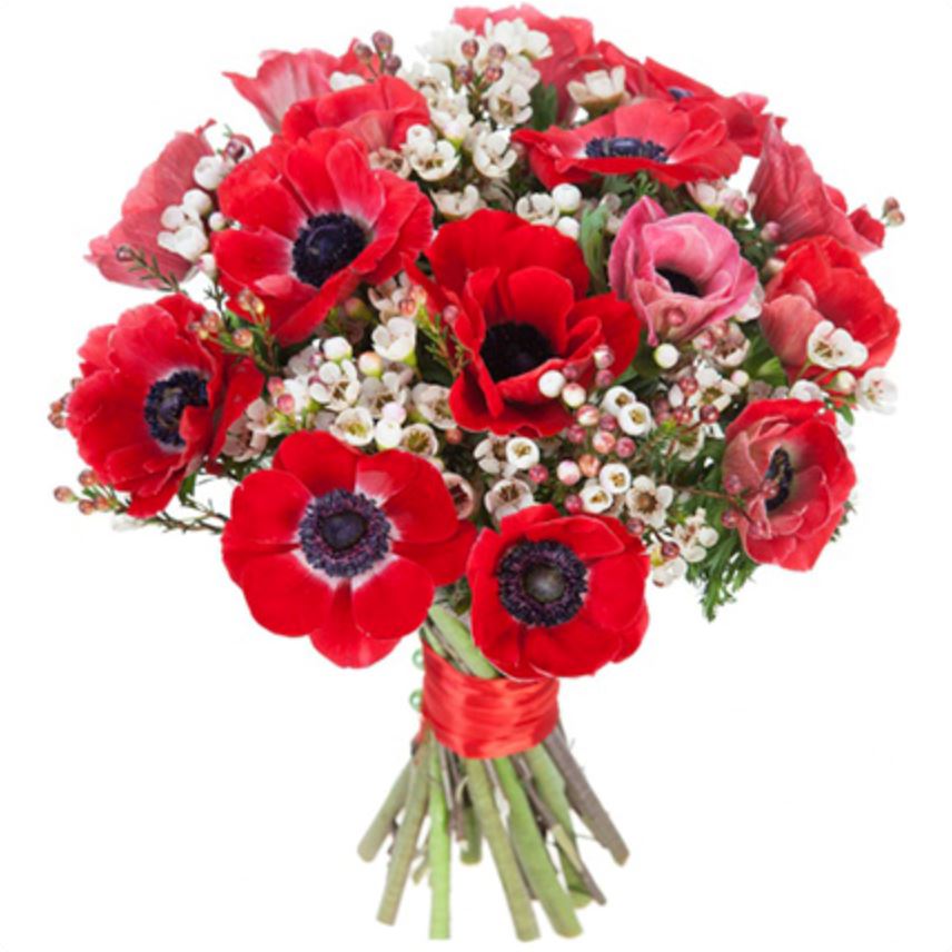Red Anemone and Vax Flowers Bouquet - Florist London
