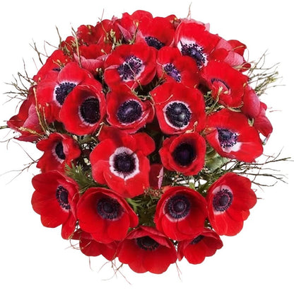 Red Anemone Classic Bouquet - Florist London