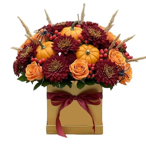 Red Chrysanthemum with Mini Pumpkin Hallowen Box - Florist London