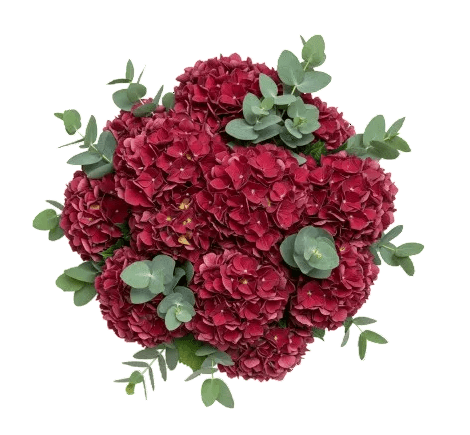 Red Hydrangea with Eucalyptus Bouquet - Florist London