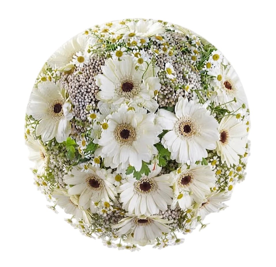 Rice Flowers and Daisy Bouquet - Florist London