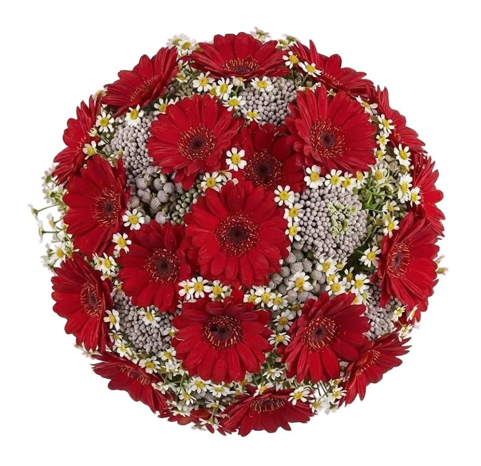Rice Flowers and Daisy Bouquet - Florist London