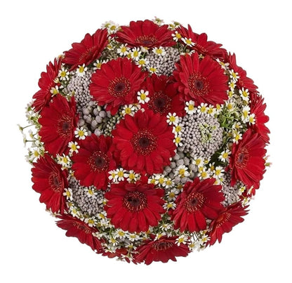 Rice Flowers and Daisy Bouquet - Florist London