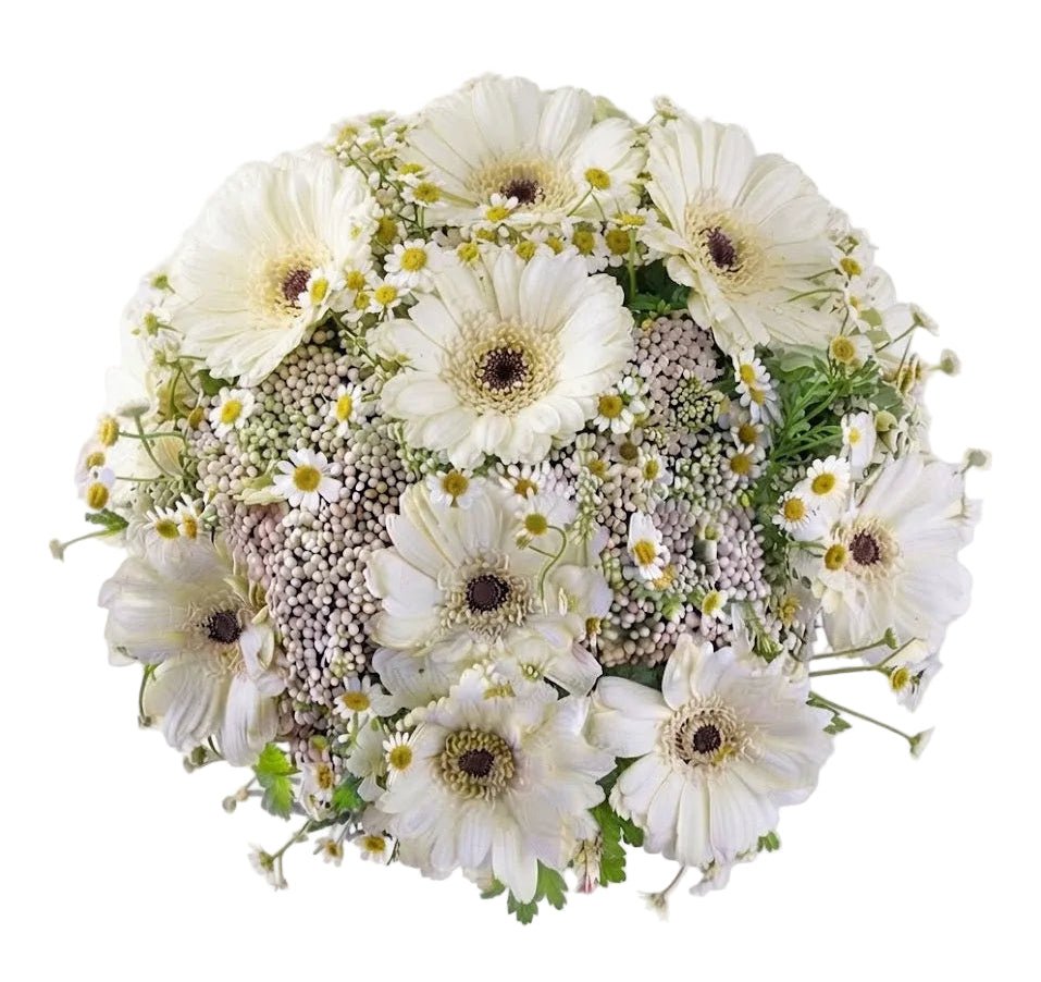 Rice Flowers and Daisy Bouquet - Florist London