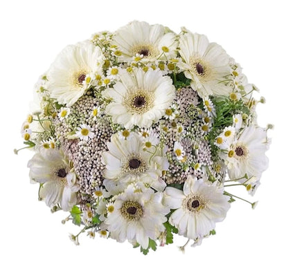 Rice Flowers and Daisy Bouquet - Florist London