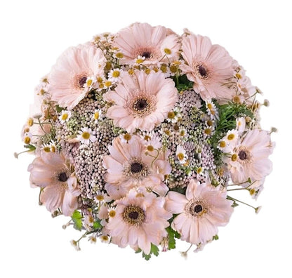 Rice Flowers and Daisy Bouquet - Florist London