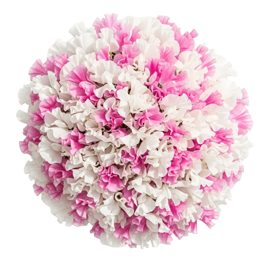 Rose Sweet Pea Bouquet - Florist London
