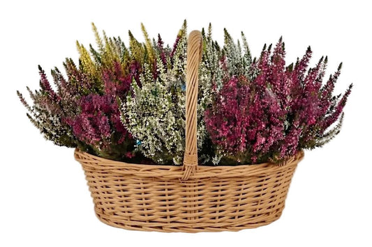 Rustic Basket of Heather - Florist London