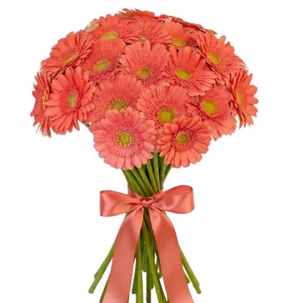 Salmon Gerbera Bouquet - Florist London