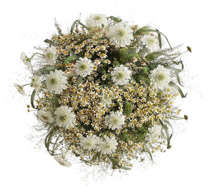 Scabiosa with Tanacetum in Panicum Grass Bouquet - Florist London