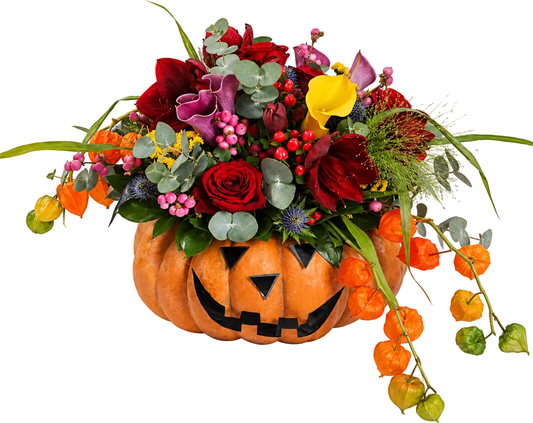 Spooky Amarylis ans Calla Lily Pumpkin - Florist London