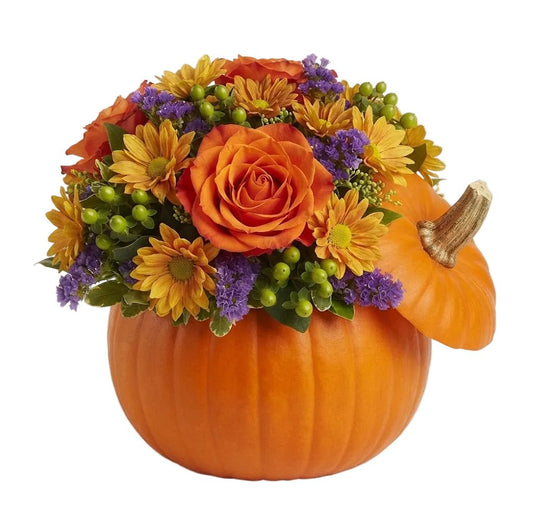 Spooky Chic Pumpkin Flower Arrangement - Florist London