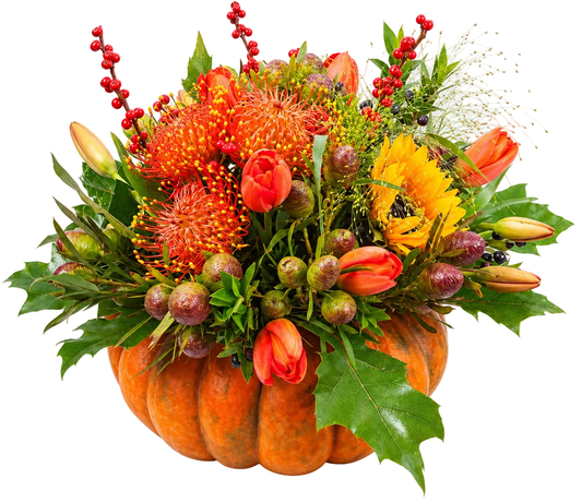 Spooky Exotic Halloween Pumpkin - Florist London