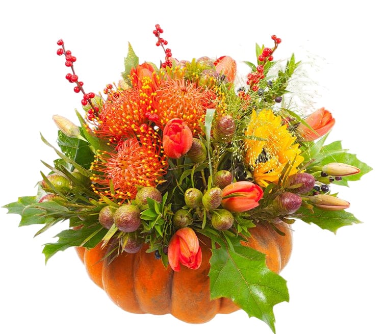 Spooky Exotic Halloween Pumpkin - Florist London