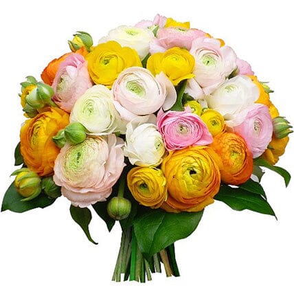 Spring Ranunculus Bouquet - Florist London