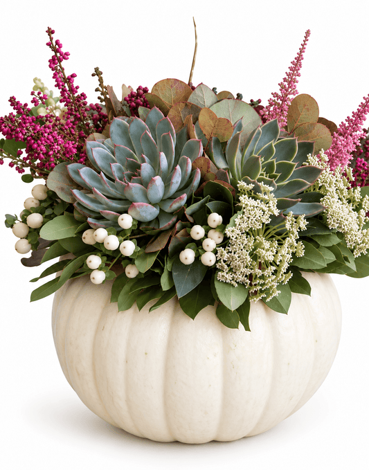 Succulent in White Pumpkin Arrangement - Florist London