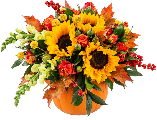 Sunflowers in Orange Oak Leaves Halloween Pumpkin - Florist London