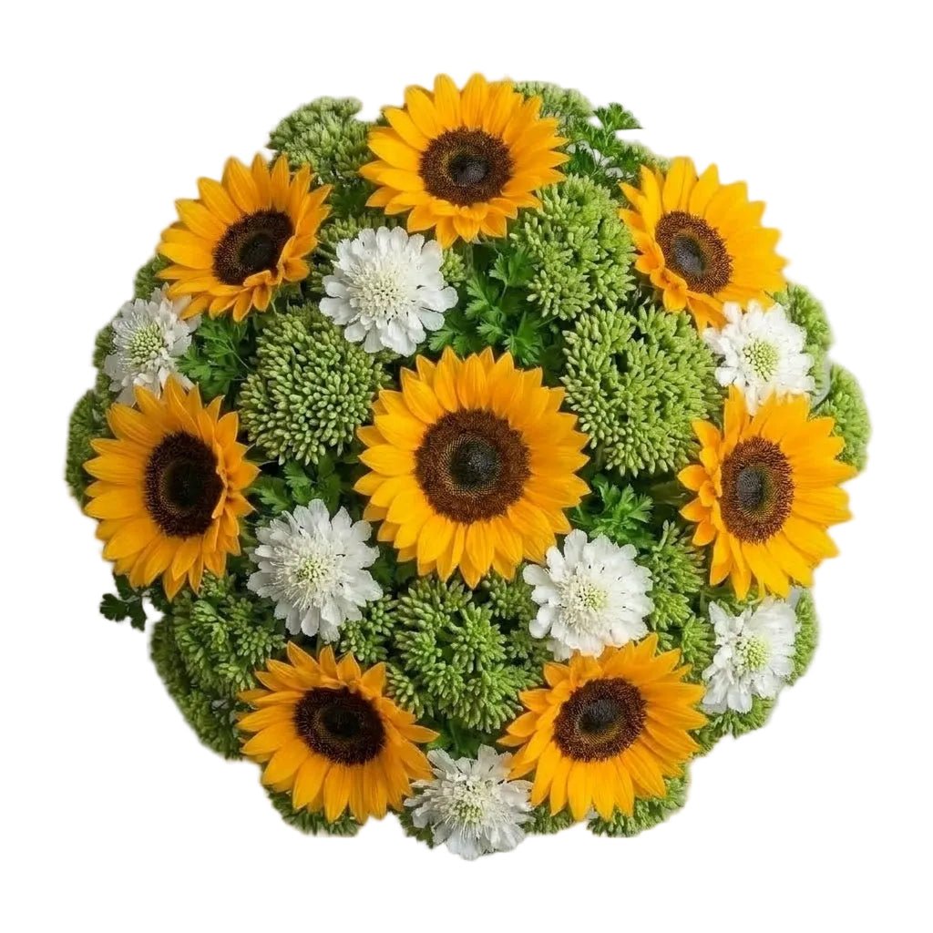Sunflowers with Scabiosa and Sedum Bouquet - Florist London