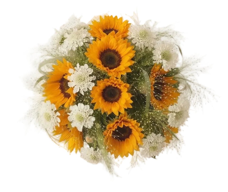 Sunflowers with Scabiosa in Panicum Grass Bouquet - Florist London