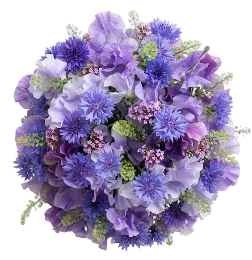Sweet Pea and Cornflower Bouquet - Florist London