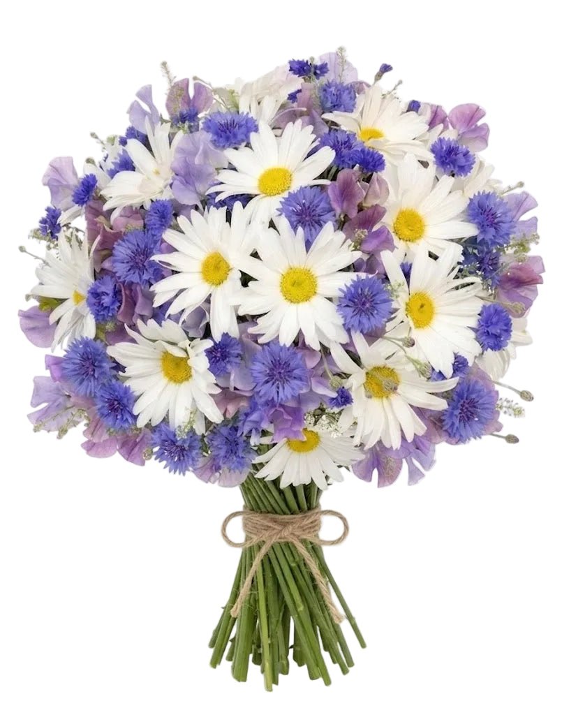 Sweet Pea with Daisy and Cornflower Bouquet - Florist London