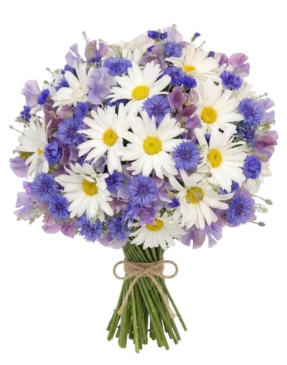 Sweet Pea with Daisy and Cornflower Bouquet - Florist London