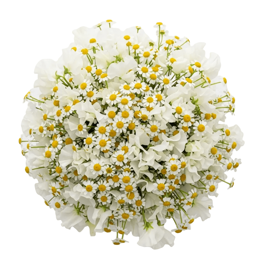 Sweet Pea with Daisy Tanacetum Bouquet - Florist London