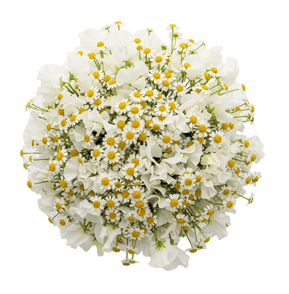 Sweet Pea with Daisy Tanacetum Bouquet - Florist London