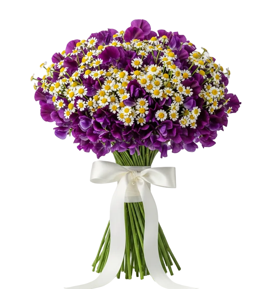 Sweet Pea with Daisy Tanacetum Bouquet - Florist London
