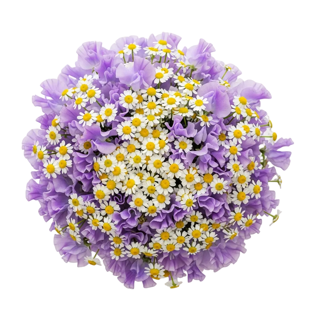 Sweet Pea with Daisy Tanacetum Bouquet - Florist London