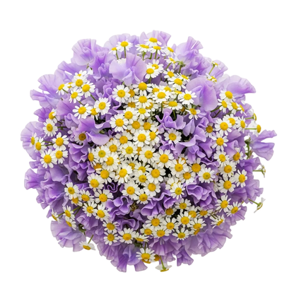 Sweet Pea with Daisy Tanacetum Bouquet - Florist London