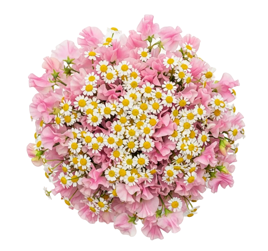 Sweet Pea with Daisy Tanacetum Bouquet - Florist London