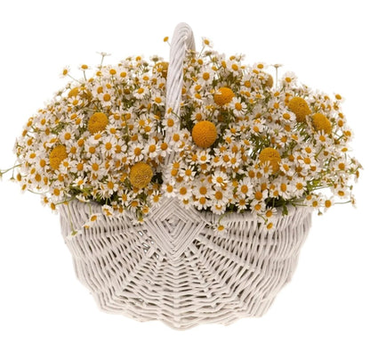 Tanacetum Flowers in Basket - Florist London