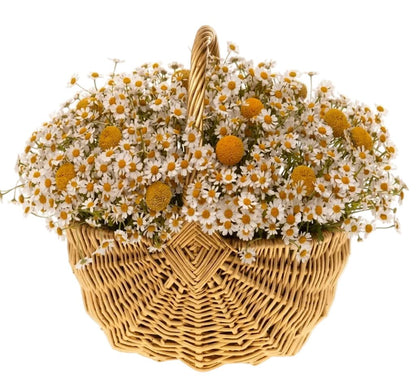 Tanacetum Flowers in Basket - Florist London
