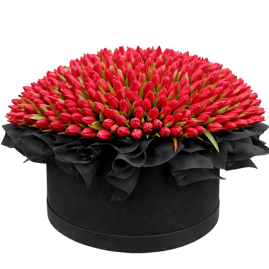 The Prestige Tulip Ensemble - Florist London