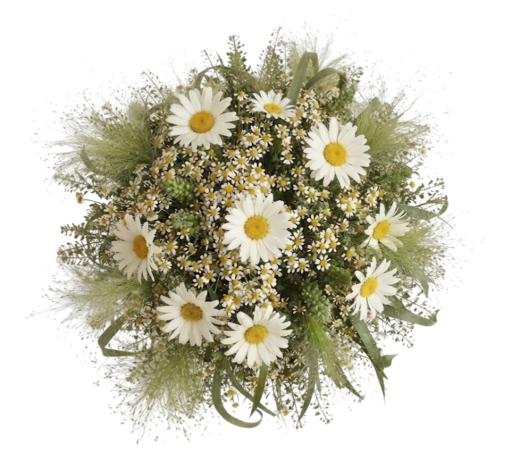 Pretty Mixed Daisy Bouquet