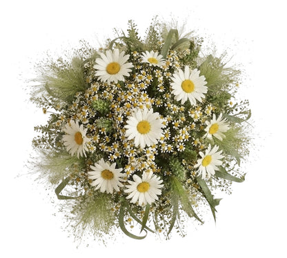 Pretty Mixed Daisy Bouquet