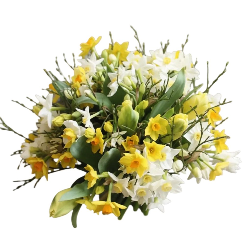 Tulips and Narcissus Bouquet - Florist London
