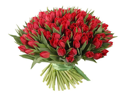 Tulips Bouquet - Florist London